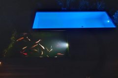 Beleuchteter-Biopool-und-Koiteich-scaled