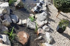 Bachlauf-scaled