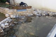 14-Naturteich-mit-Filter-und-Wasserfall-scaled