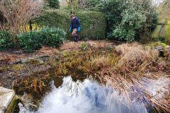 02-Pflanzen-Rueckschnitt-und-Reduzierung-scaled